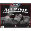 BCW 11×17 Art Print Bags & Backing Boards Combo | 100 Resealable Crystal Clear Bags & Buffered Acid-Free Boards | Protect, Store, and Display Your Art Prints, Posters & Photos