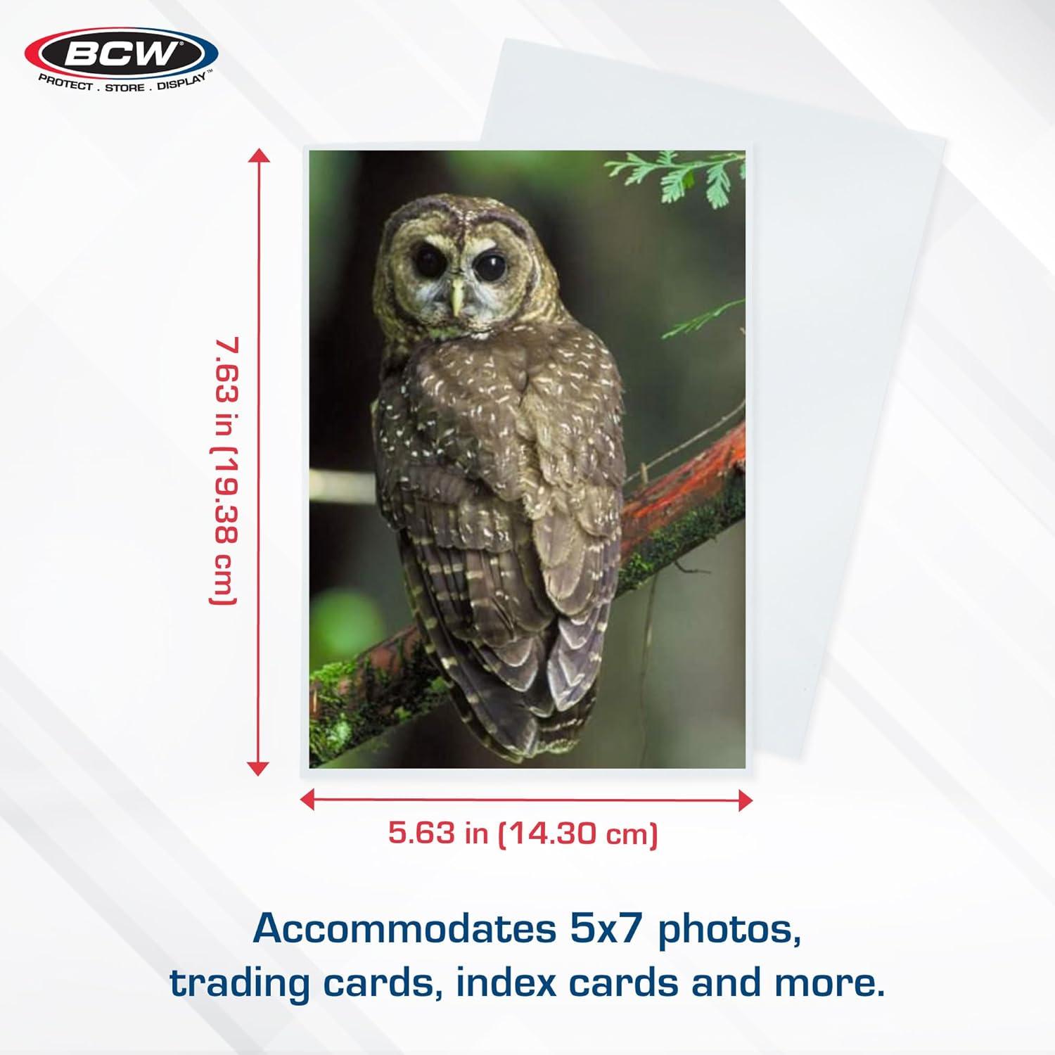 image:imageBCW 5x7 Photo Sleeves 300 ct Acid Free No PVC Soft Clear Plastic Photo Sleeves Archival Quality Fits 5x7 Photos amp BCW 5x7 Toploaders