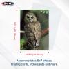 BCW 5×7 Photo Sleeves – 100 ct | Acid Free, No PVC | Soft Clear Plastic Photo Sleeves | Archival Quality | Fits 5×7 Photos & BCW 5×7 Toploaders