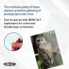 BCW 5×7 Photo Sleeves – 300 ct | Acid Free, No PVC | Soft Clear Plastic Photo Sleeves | Archival Quality | Fits 5×7 Photos & BCW 5×7 Toploaders