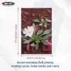BCW 6×9 Photo Sleeves – 100 ct | Acid-Free, No PVC | Crystal Clear Polypropylene | Archival Storage for 6×9 Photos & Postcards