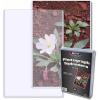 BCW 6×9 Topload Holders | Rigid PVC Photo and Postcard Protectors | Ideal for 6×9 Prints, Cards, and Documents | Acid-Free, Durable Display Case for Maximum Protection | Trading Cards, Photo Storage