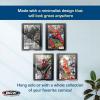 BCW Comic Frame with UV Protection | Modern Age Display Case | Silver Age, 5 Pack(Current)