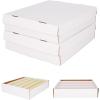 BCW Super Monster 5-Row Trading Card Storage Box, 2 Pack | Holds 5000 Standard Cards or 7000 Gaming Cards | Card Storage for Baseball, Basketball & Football
